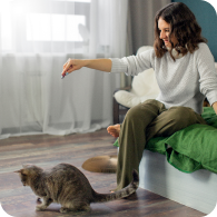 pets